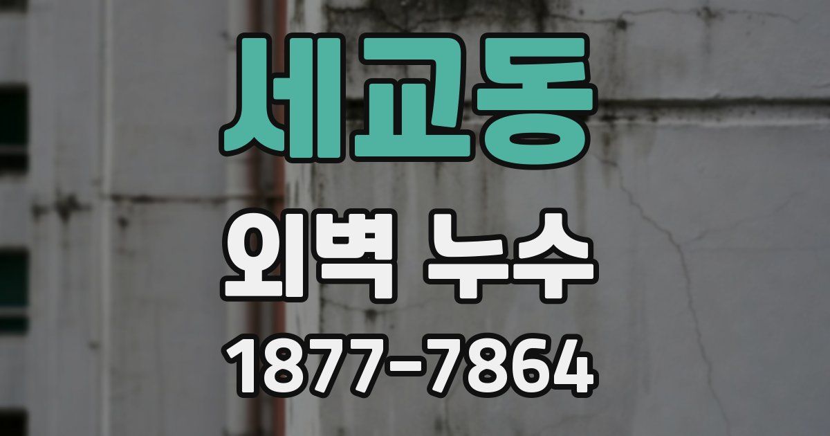 세교동 외벽 누수