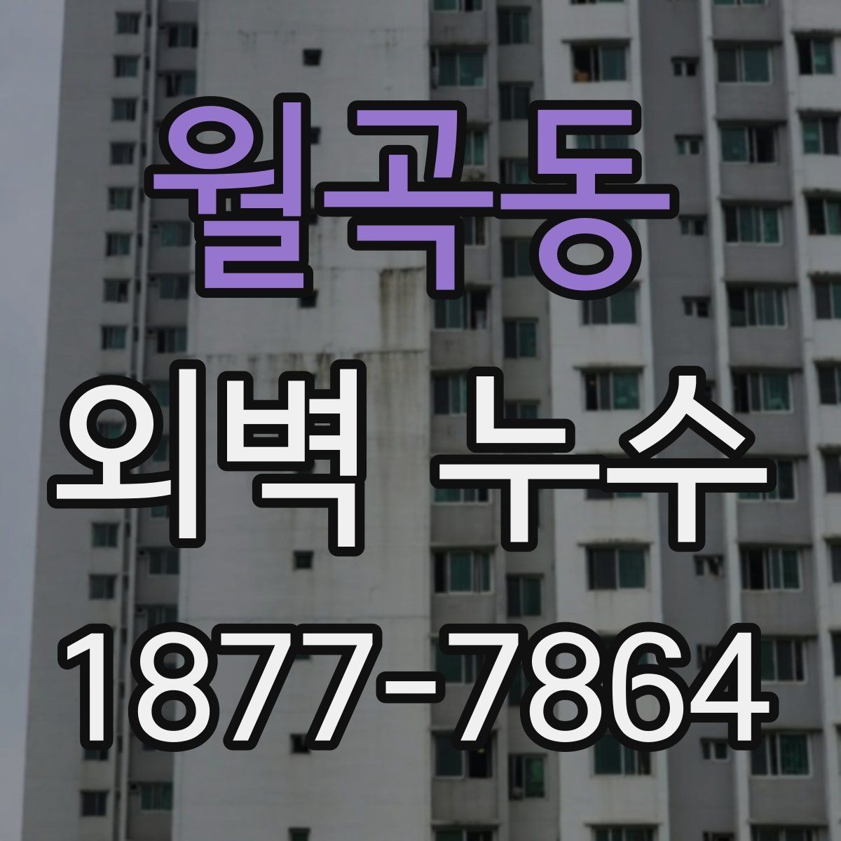월곡동 외벽 누수 검사 시 체크해야 할 부위