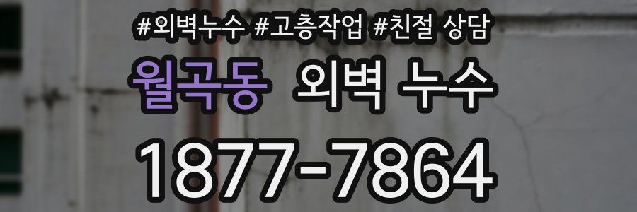 월곡동 외벽 누수