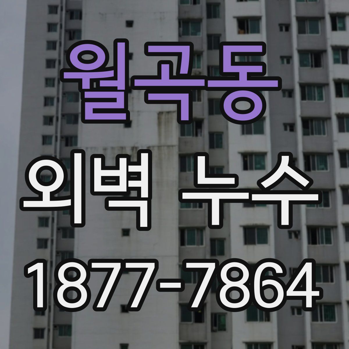 월곡동 외벽 누수