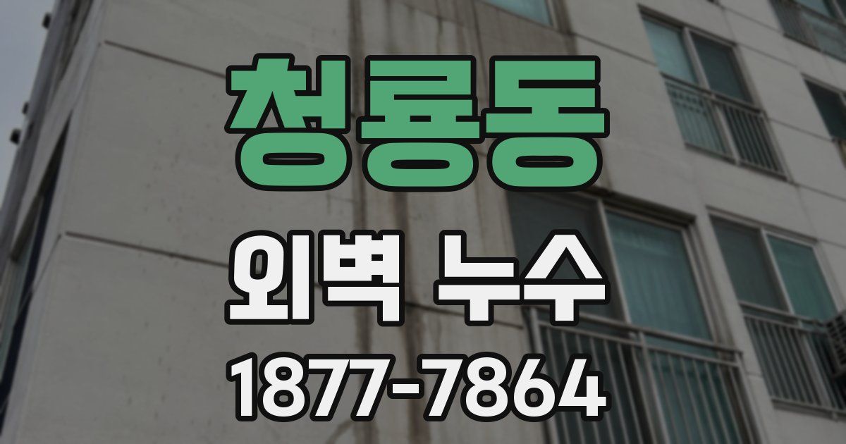 청룡동 외벽 누수