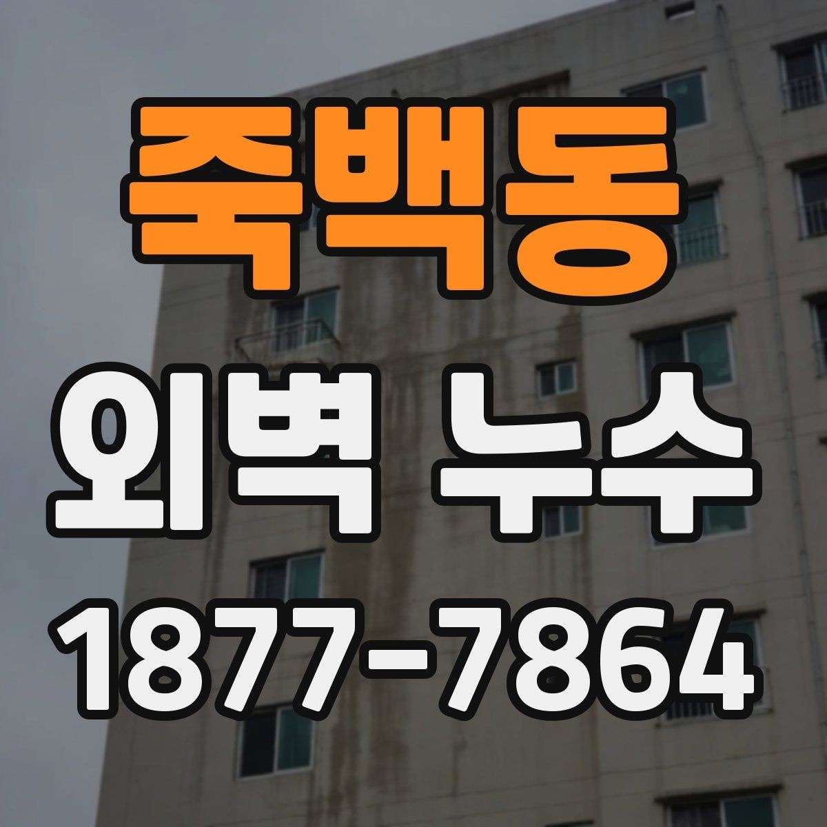 죽백동 외벽 누수 보수 범위를 정할 때 주의할 점