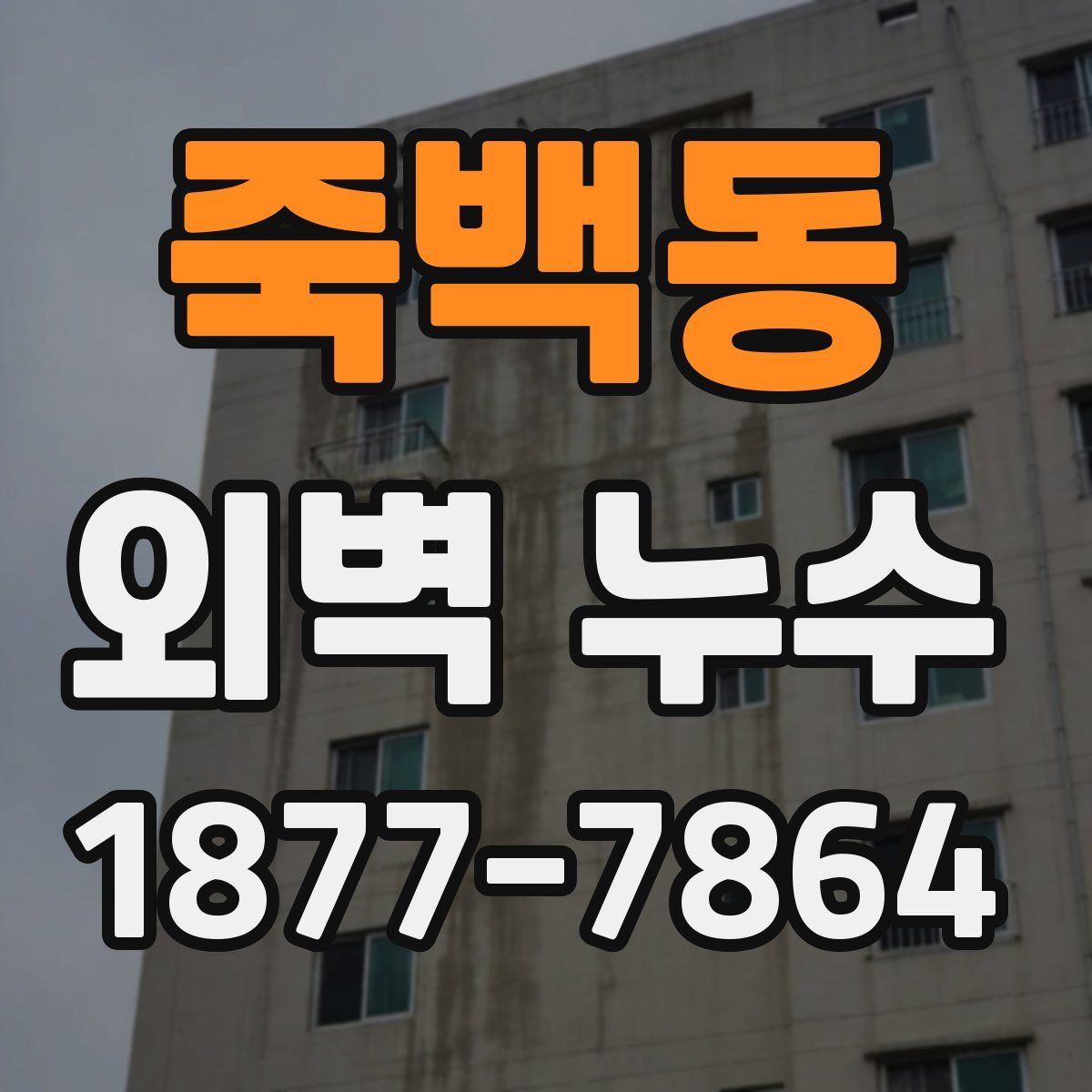 죽백동 외벽 누수