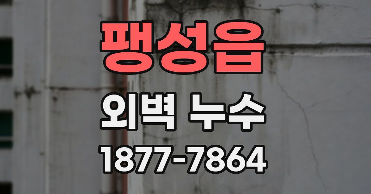 팽성읍 외벽 누수