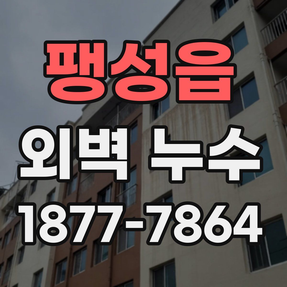팽성읍 외벽 누수