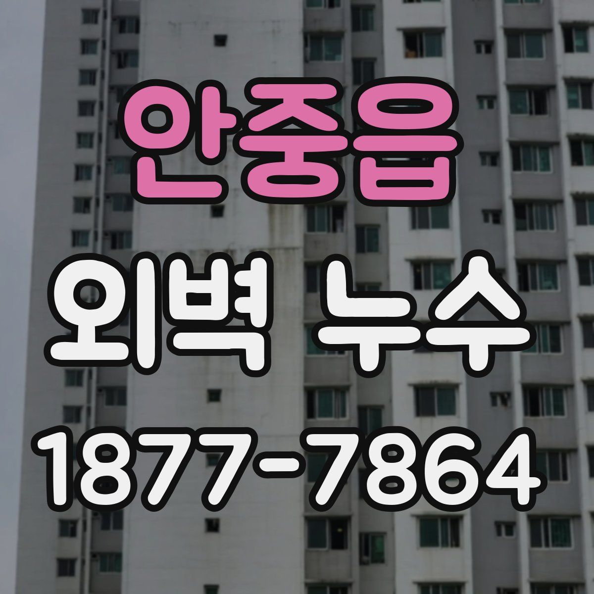 안중읍 외벽 누수