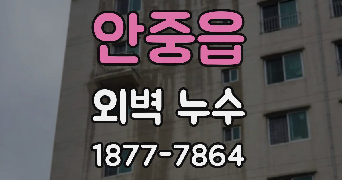 안중읍 외벽 누수