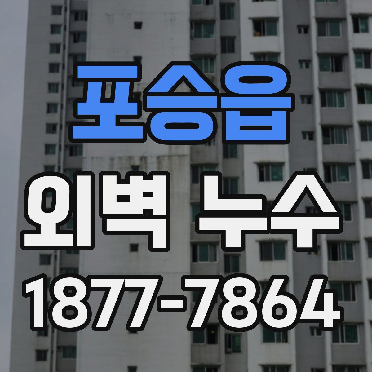 포승읍 외벽 누수