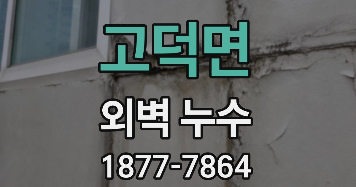 고덕면 외벽 누수