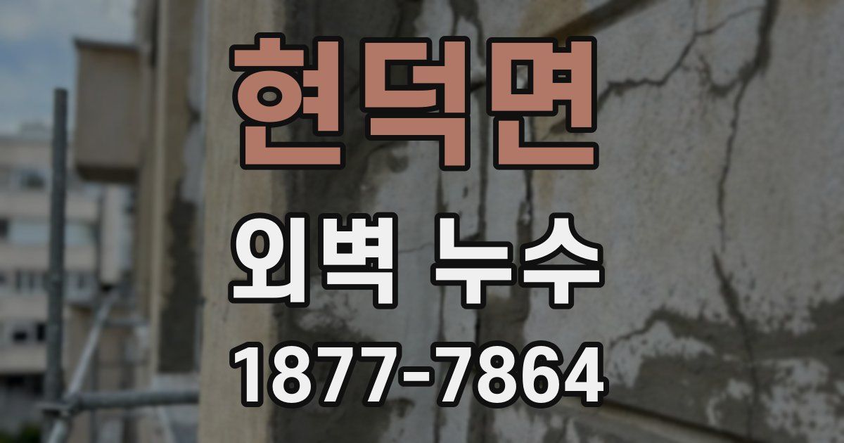 현덕면 외벽 누수