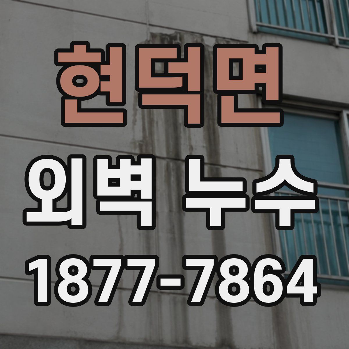 현덕면 외벽 누수