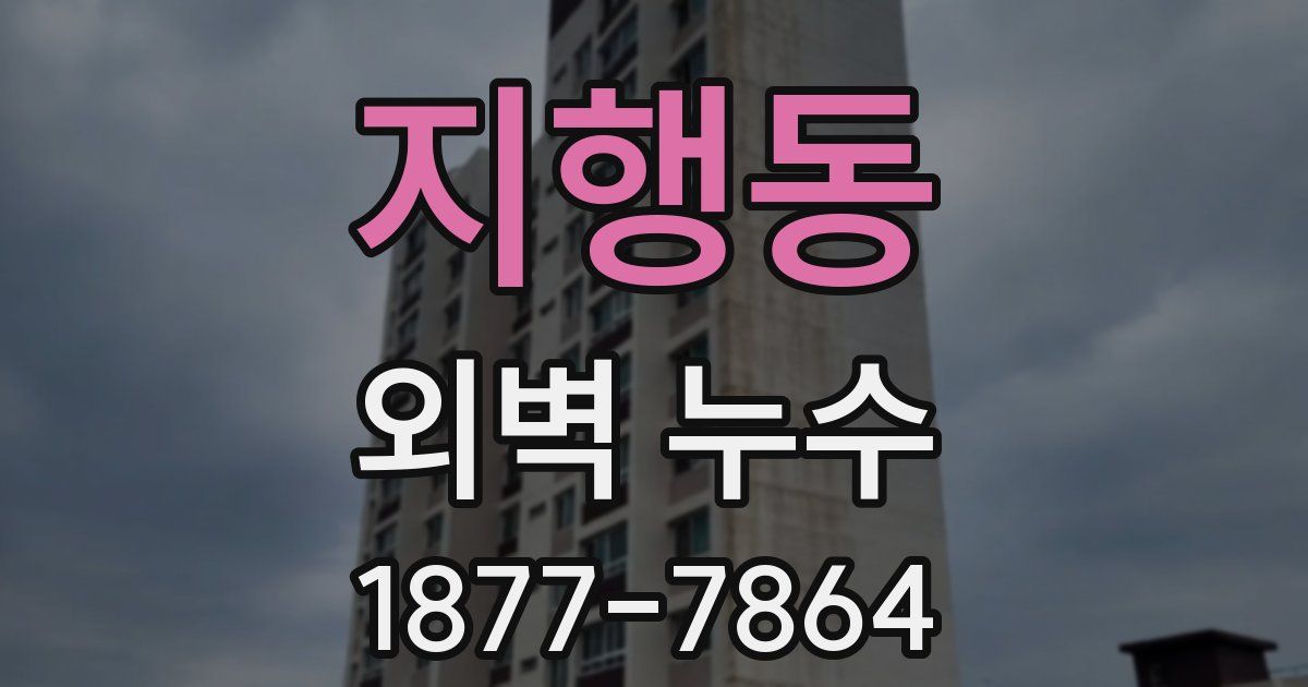 지행동 외벽 누수