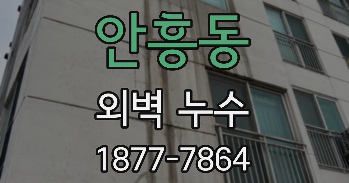 안흥동 외벽 누수