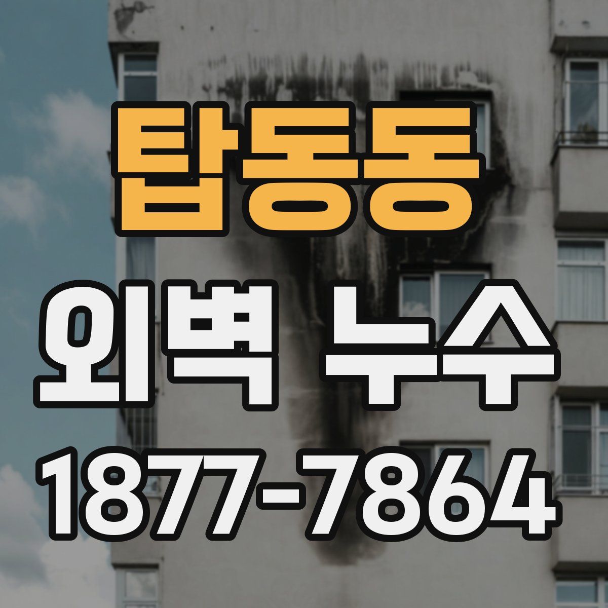 탑동동 외벽 누수
