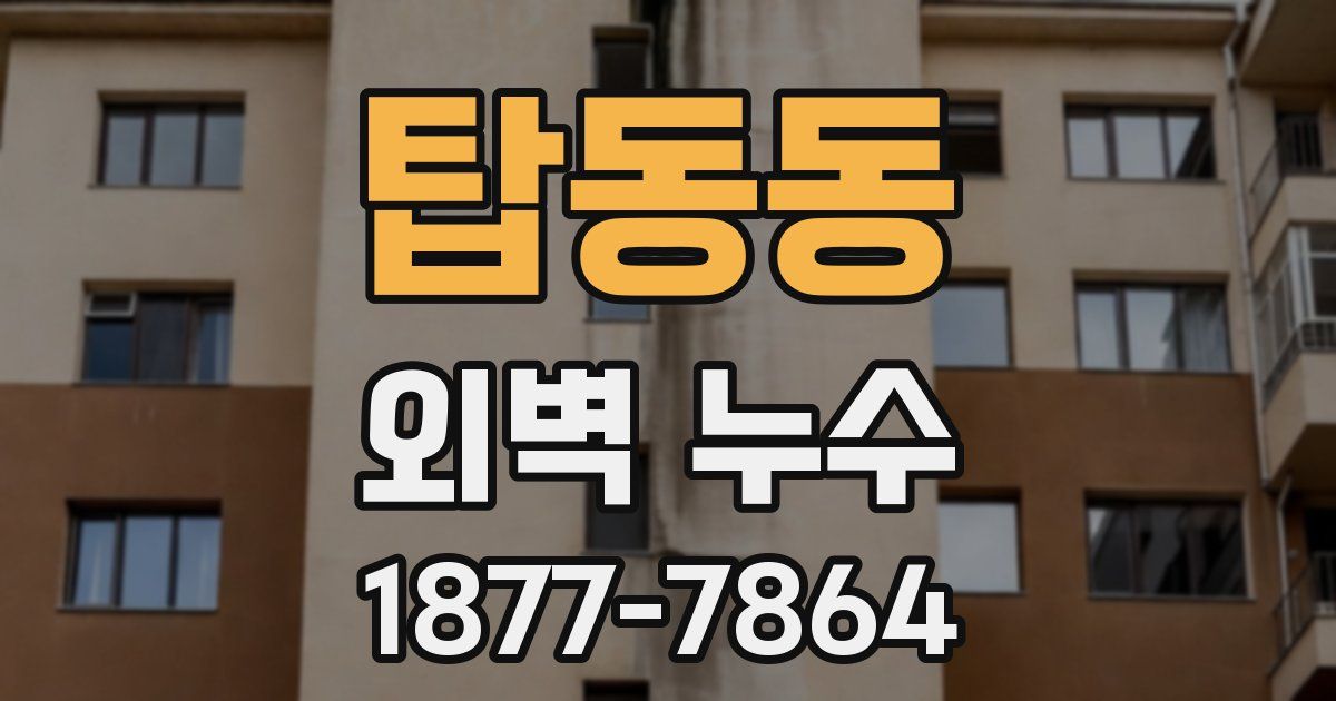 탑동동 외벽 누수