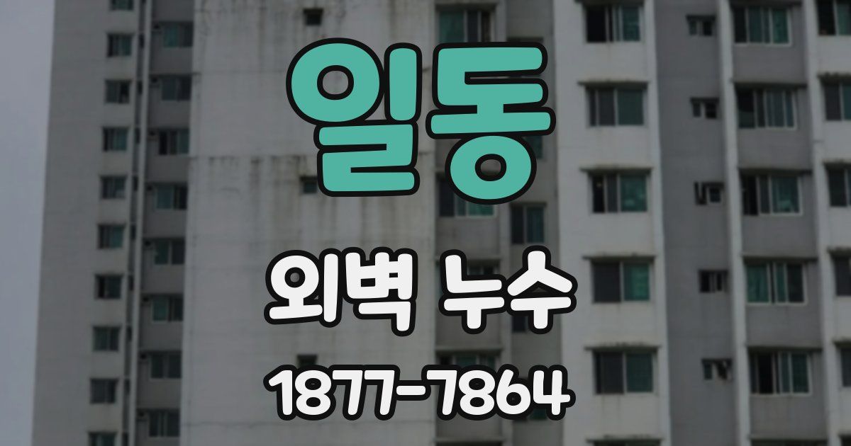 일동 외벽 누수