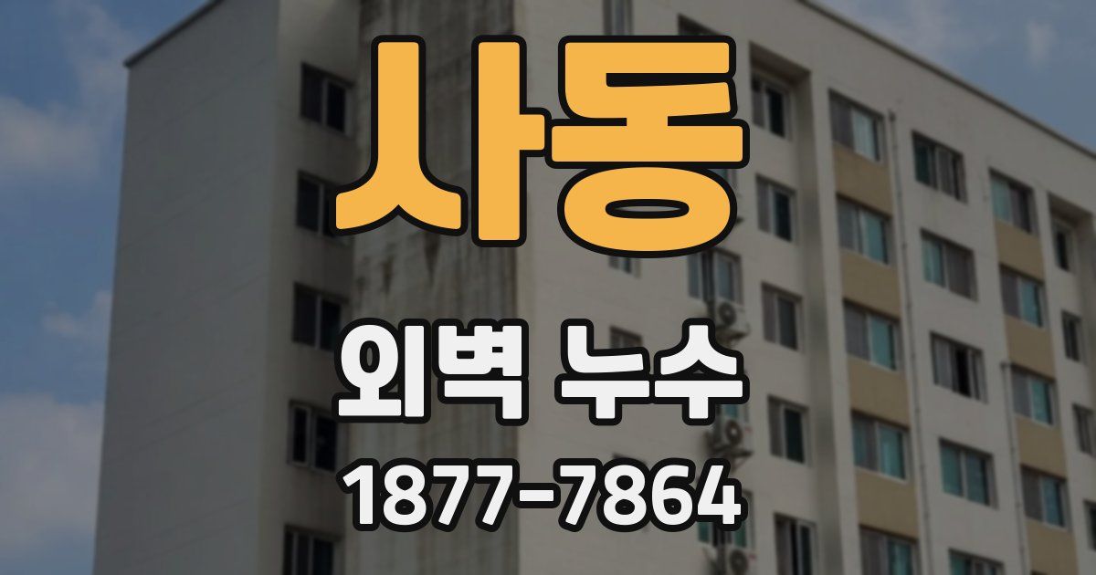 사동 외벽 누수