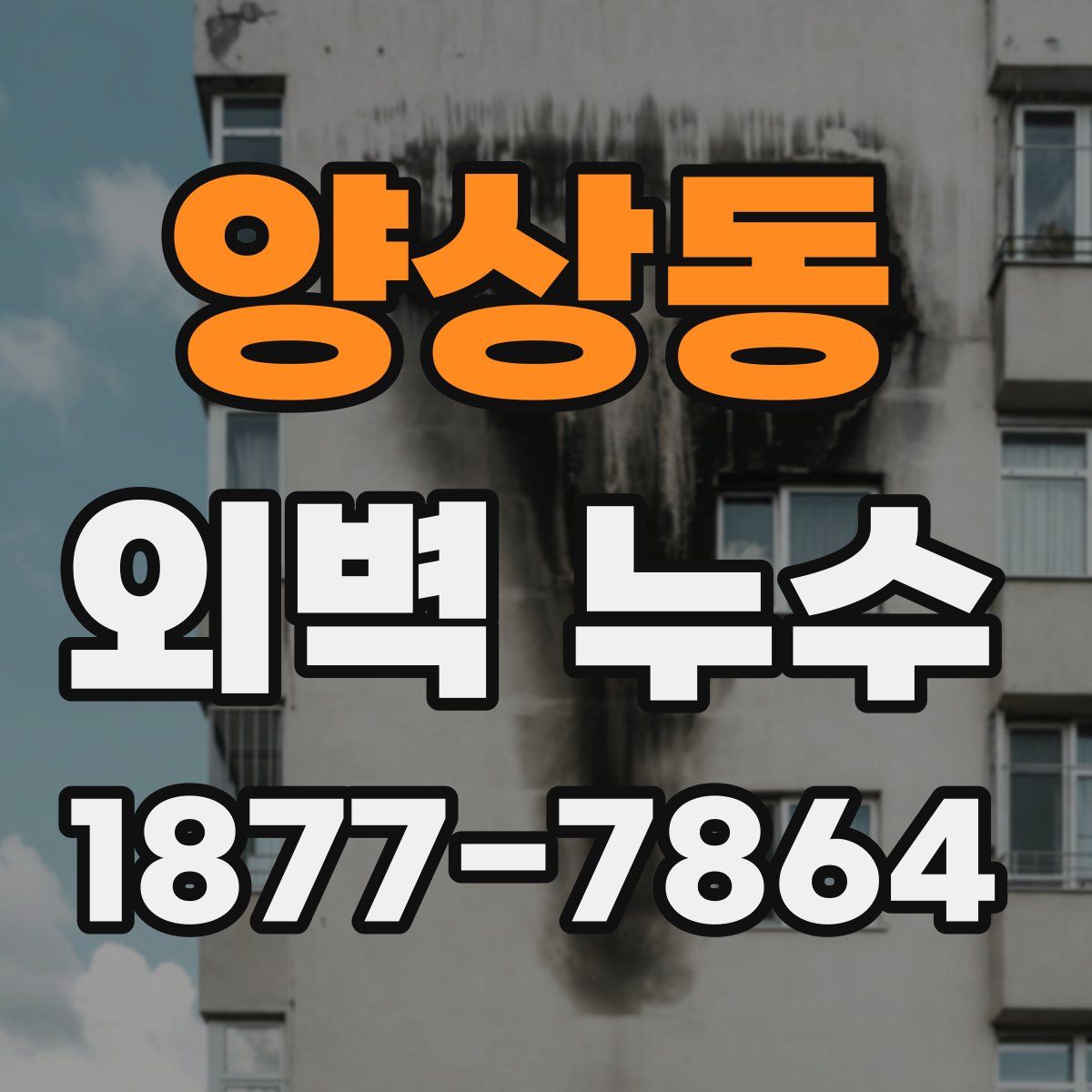 양상동 외벽 누수