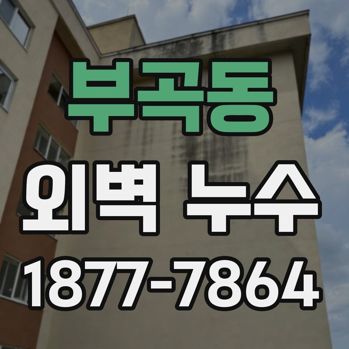부곡동 외벽 누수 공사 계획 세울 때 체크할 부분