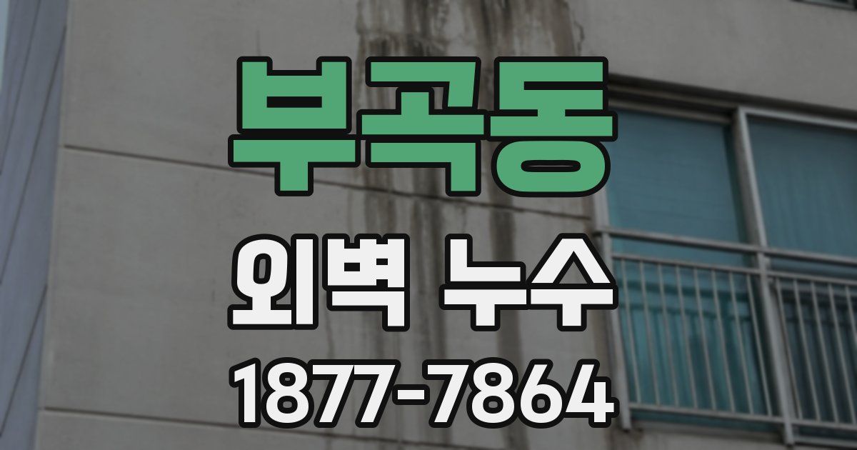 부곡동 외벽 누수