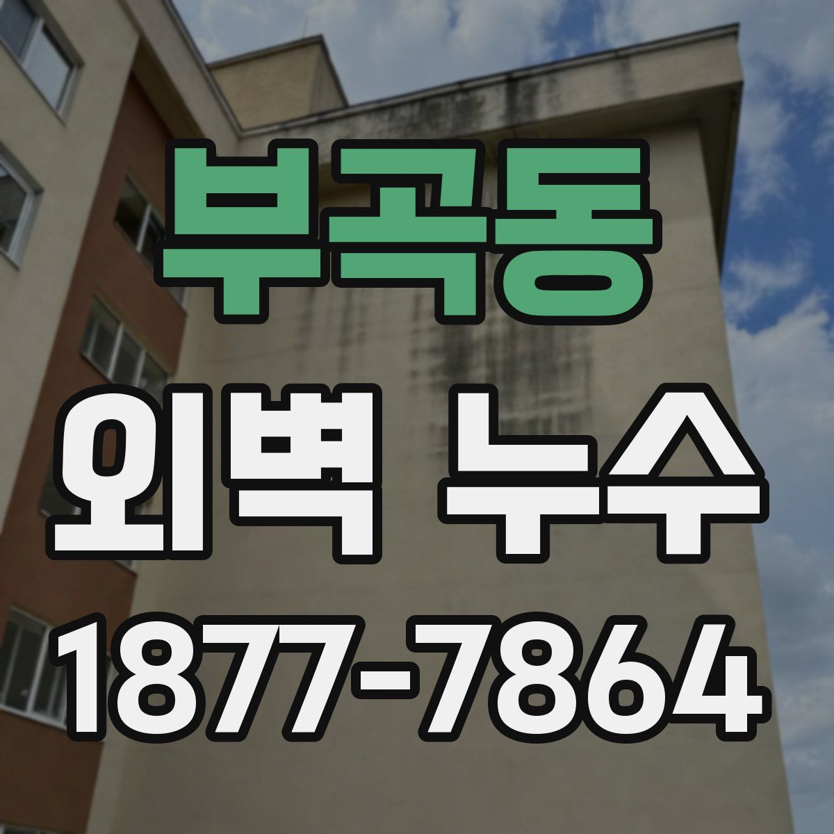 부곡동 외벽 누수