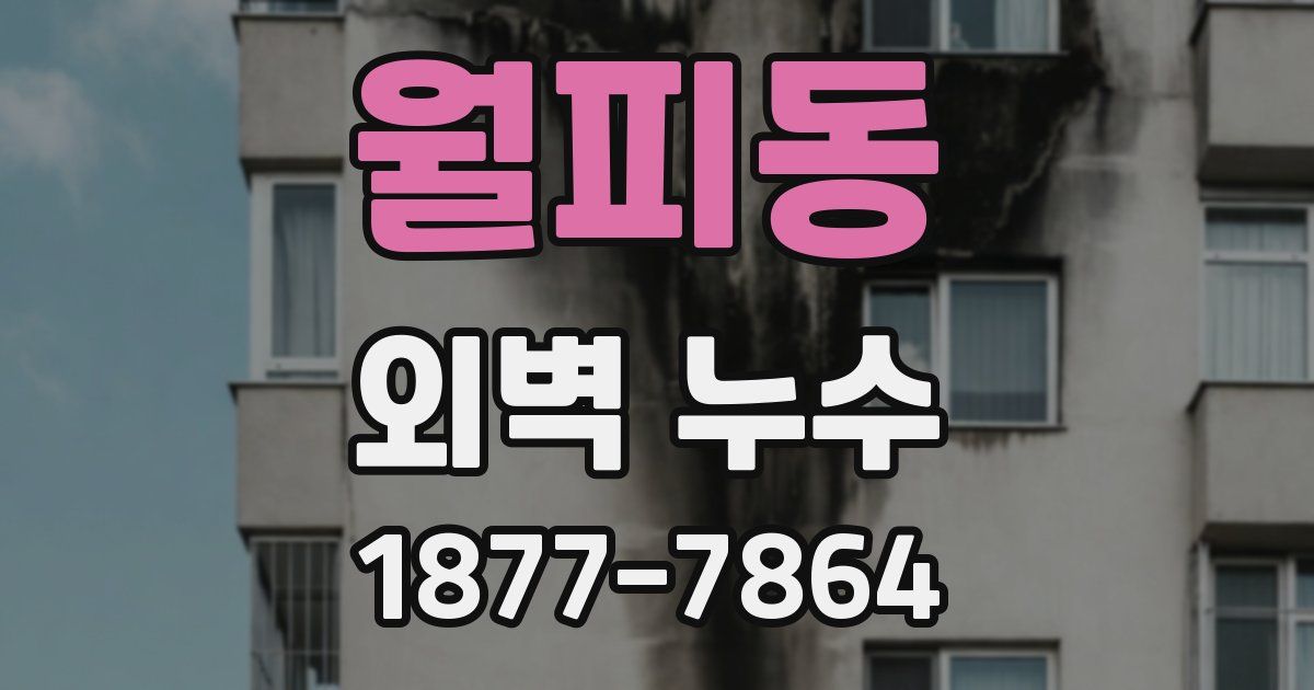 월피동 외벽 누수