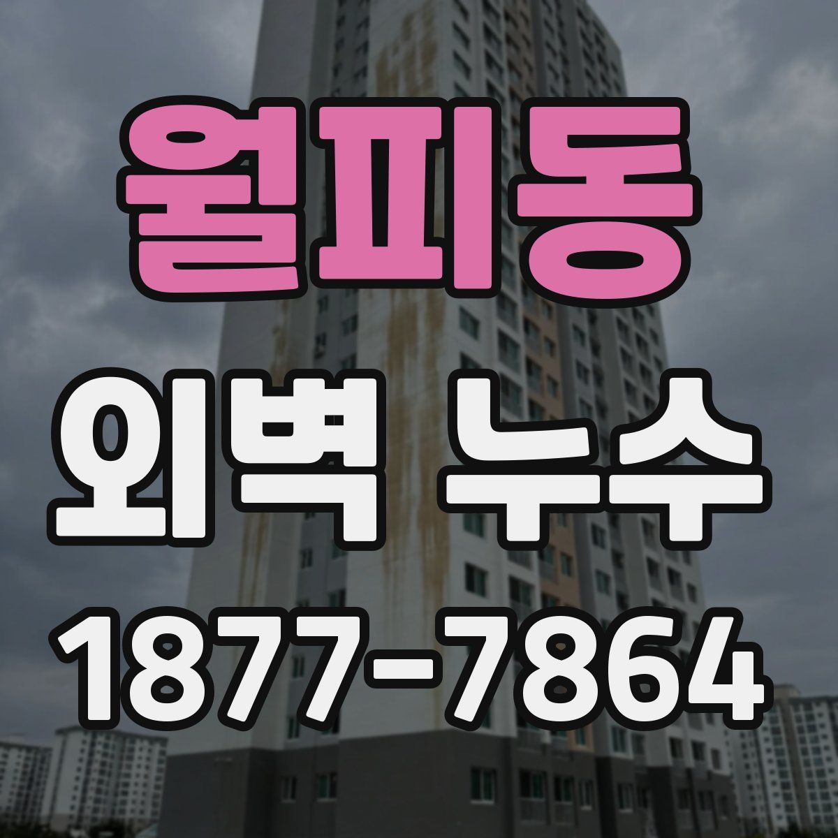 월피동 외벽 누수