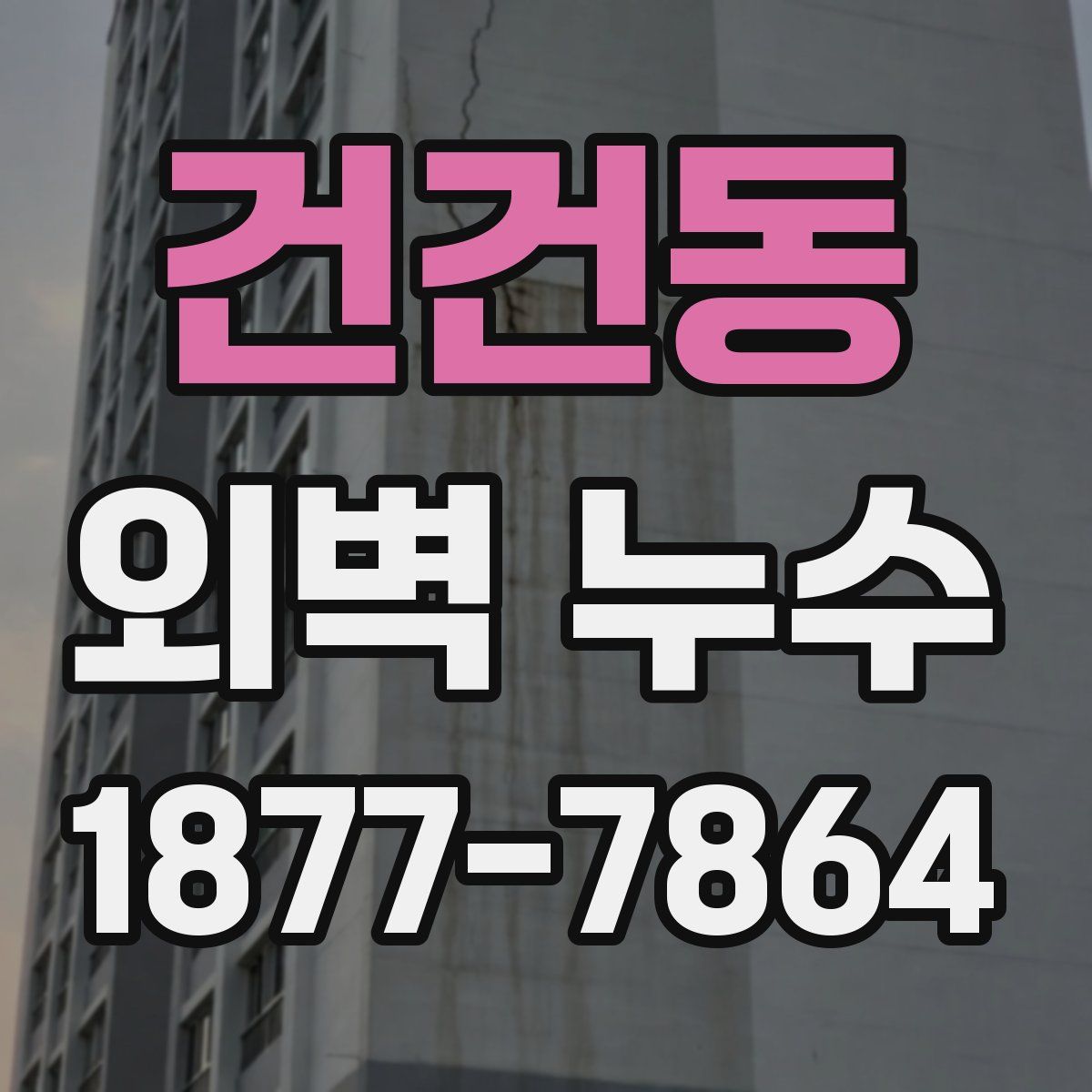 건건동 외벽 누수