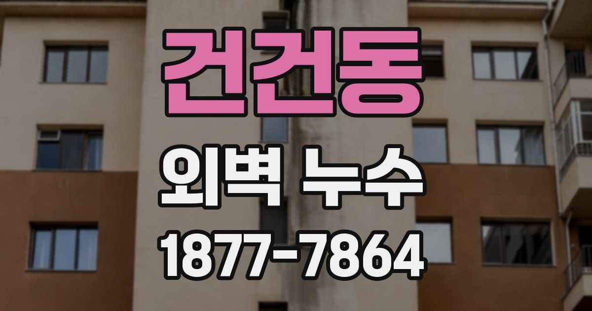 건건동 외벽 누수