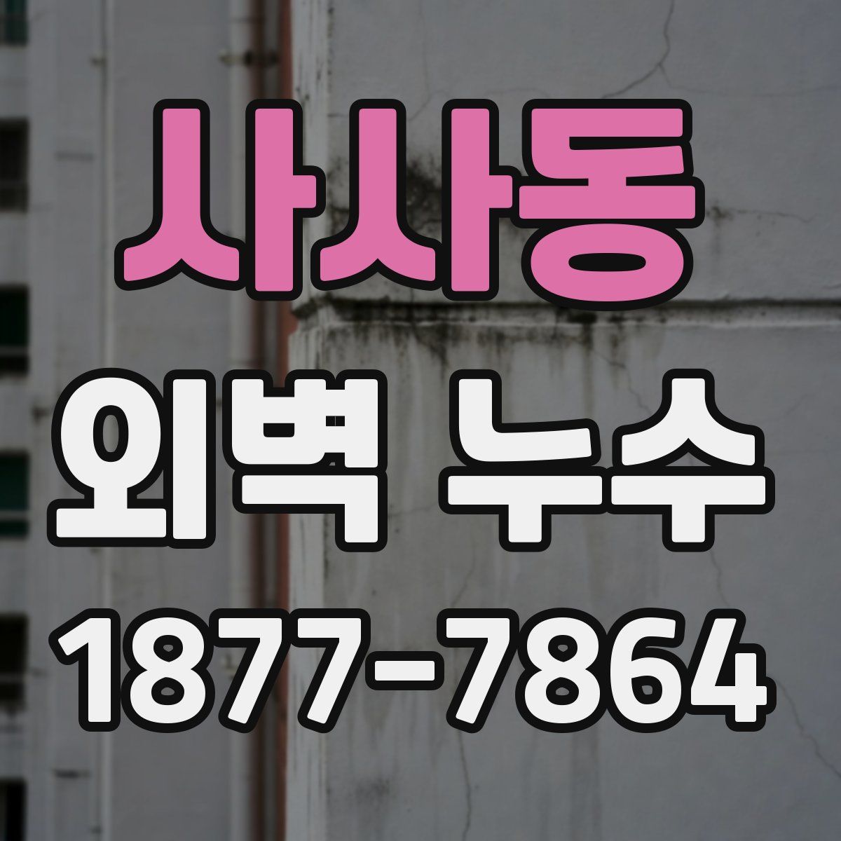 사사동 외벽 누수