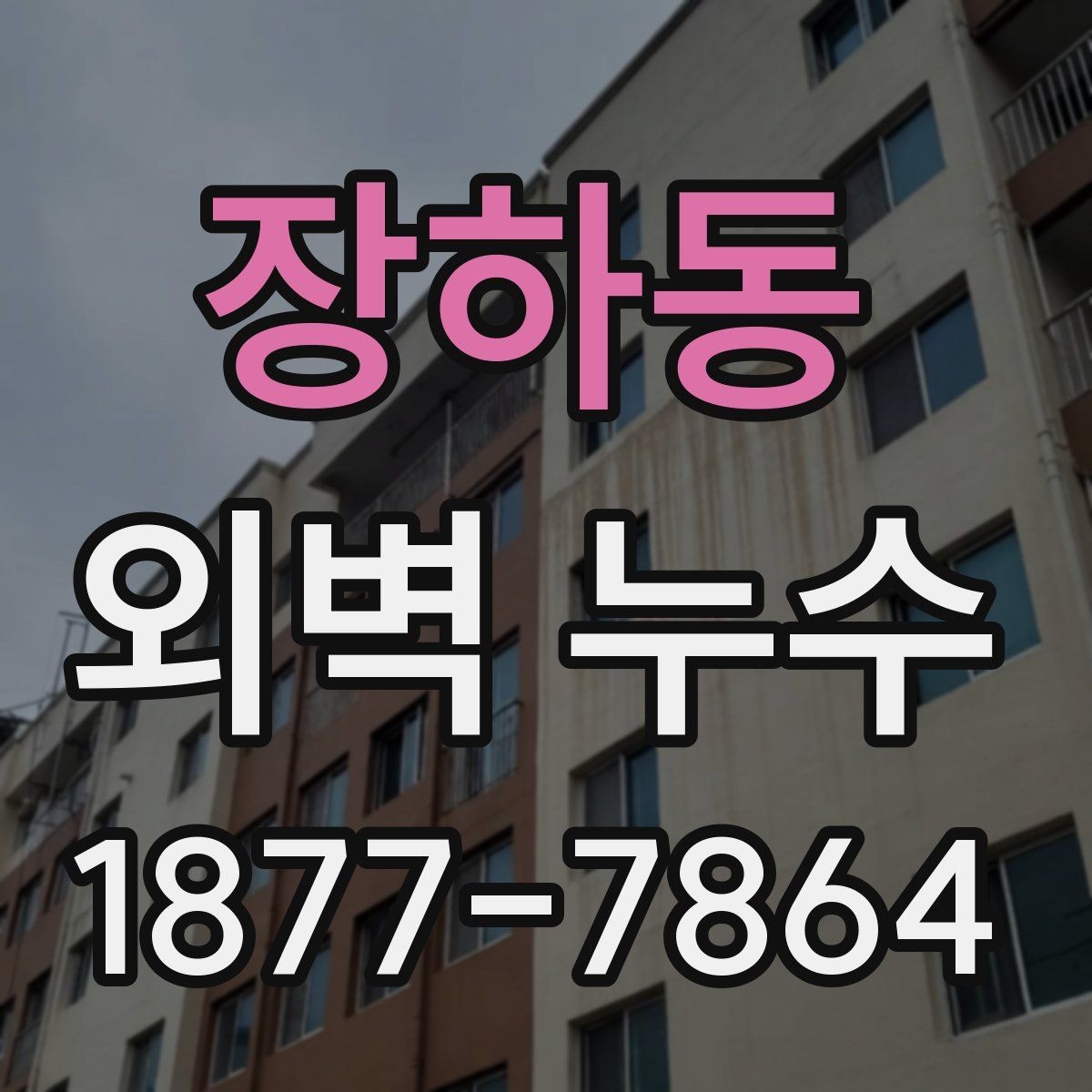 장하동 외벽 누수 의심 후 바로 해야 할 일