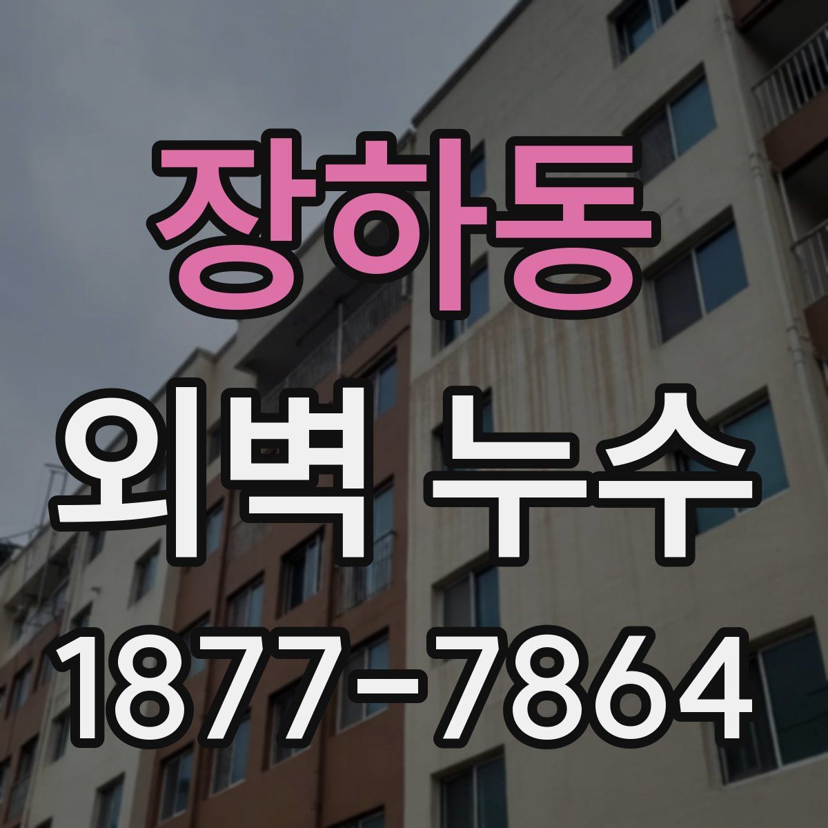 장하동 외벽 누수