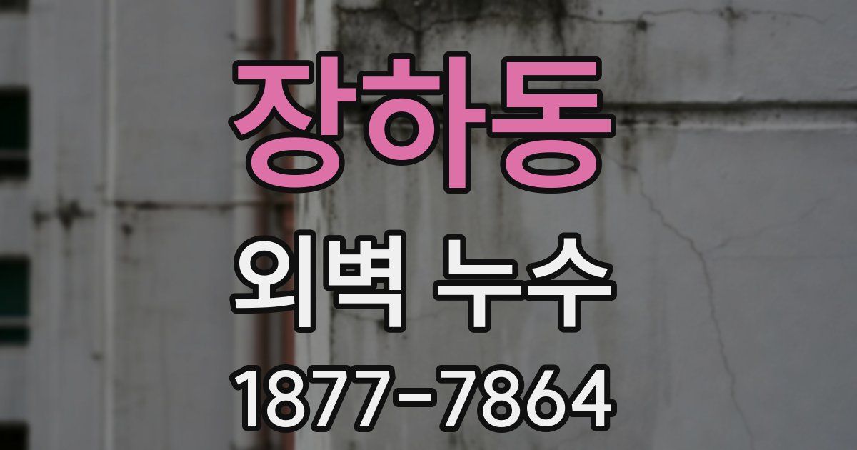 장하동 외벽 누수