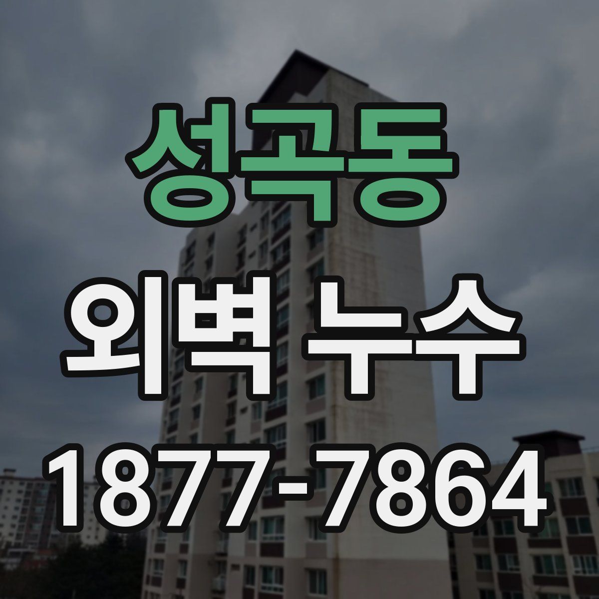 성곡동 외벽 누수