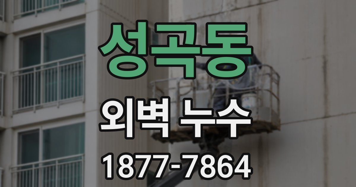 성곡동 외벽 누수