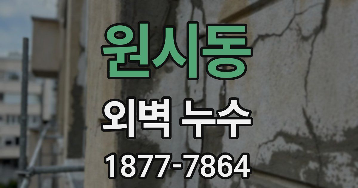 원시동 외벽 누수