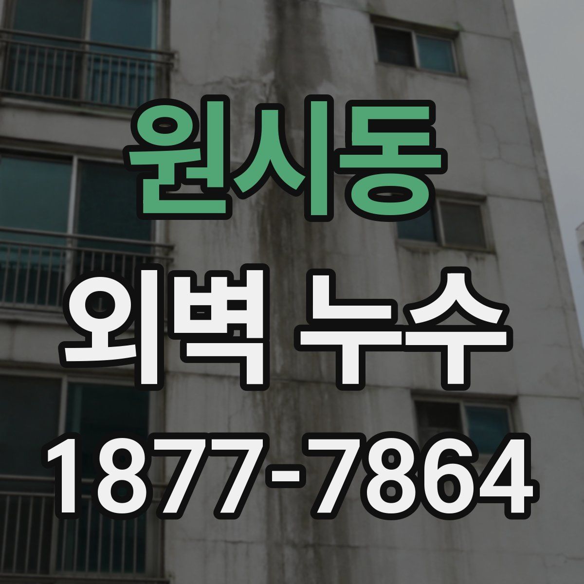 원시동 외벽 누수