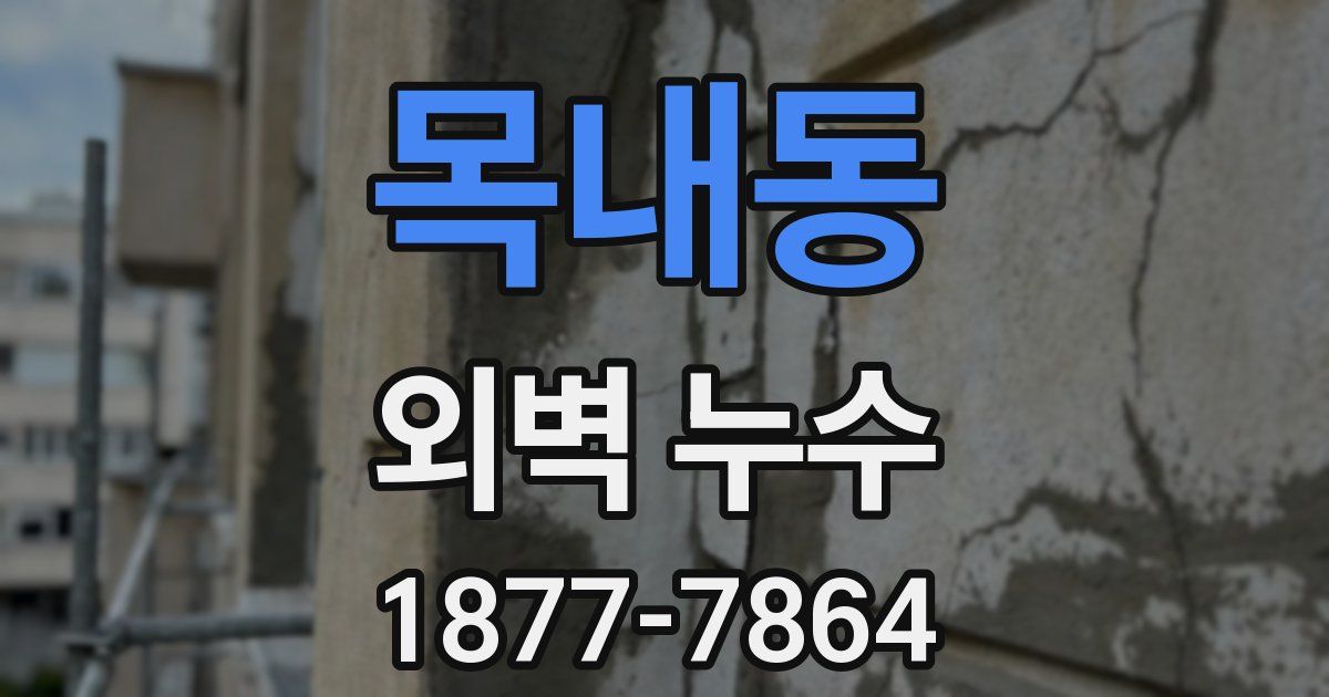 목내동 외벽 누수