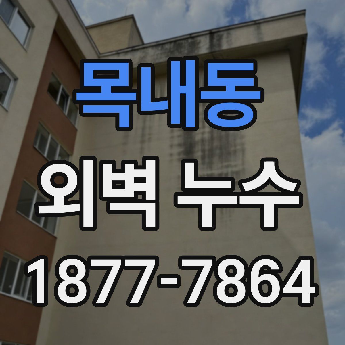 목내동 외벽 누수
