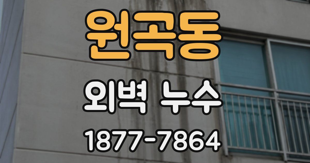 원곡동 외벽 누수