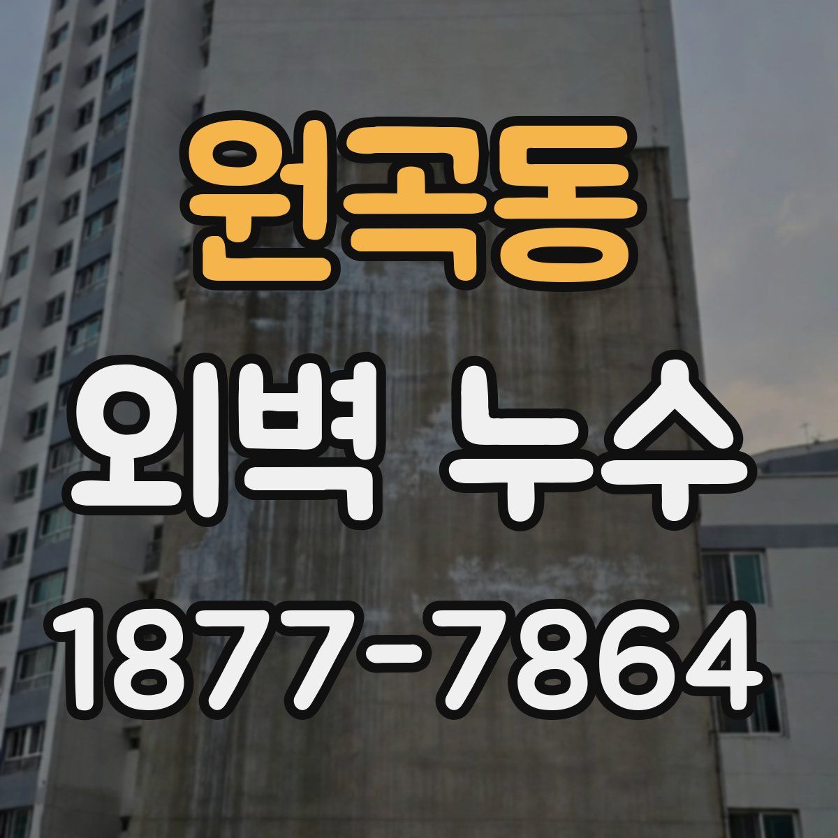 원곡동 외벽 누수