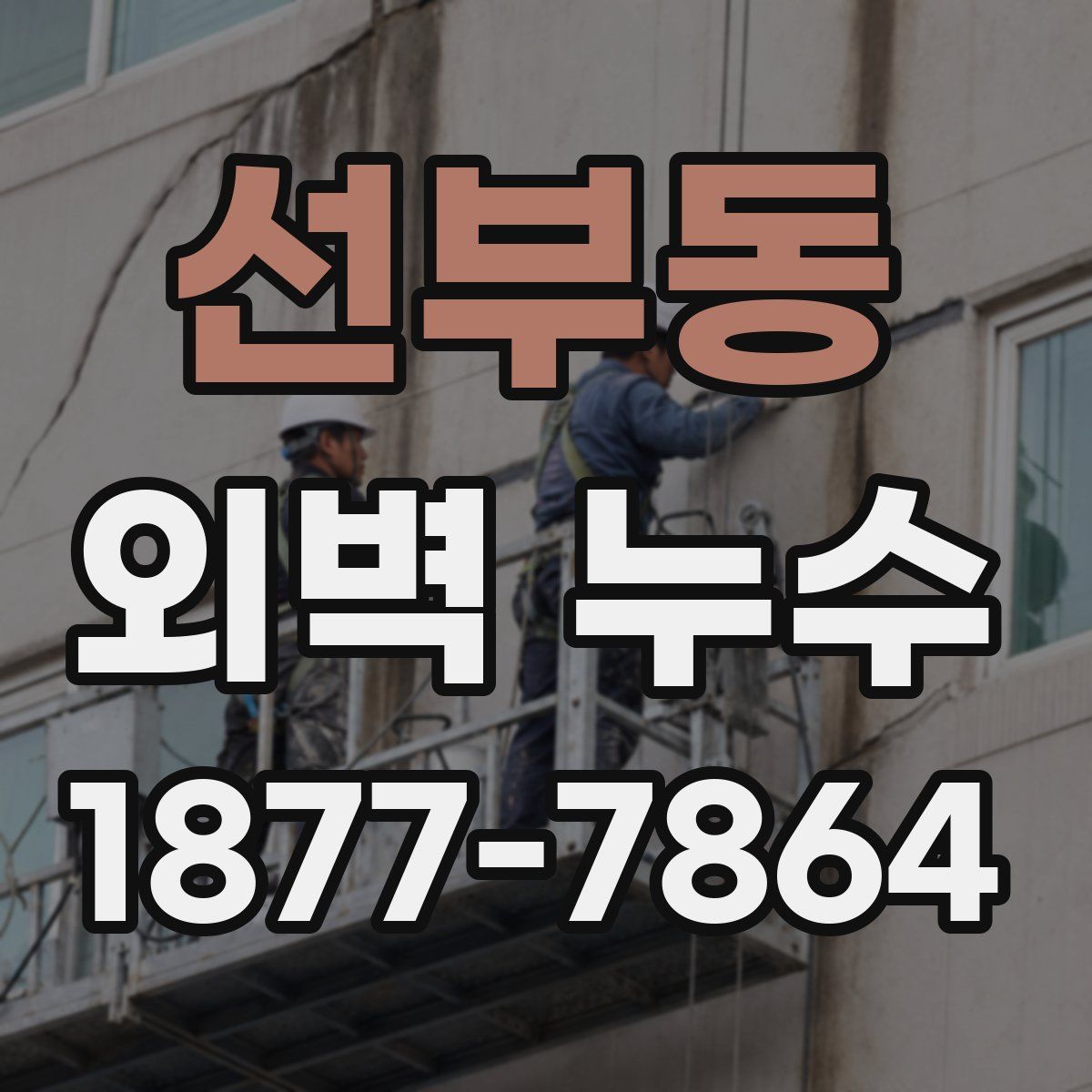 선부동 외벽 누수