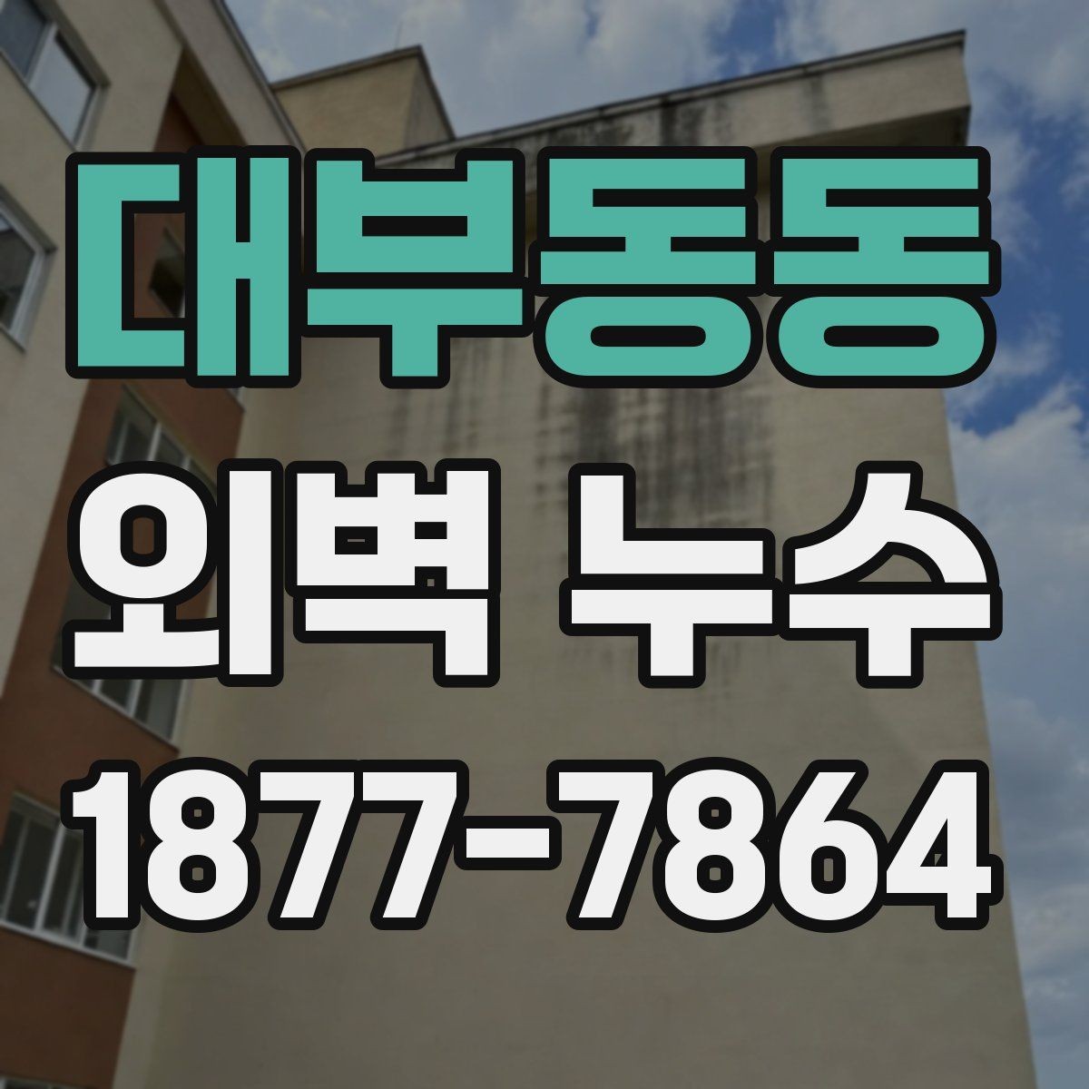 대부동동 외벽 누수 문제를 줄이는 점검 주기
