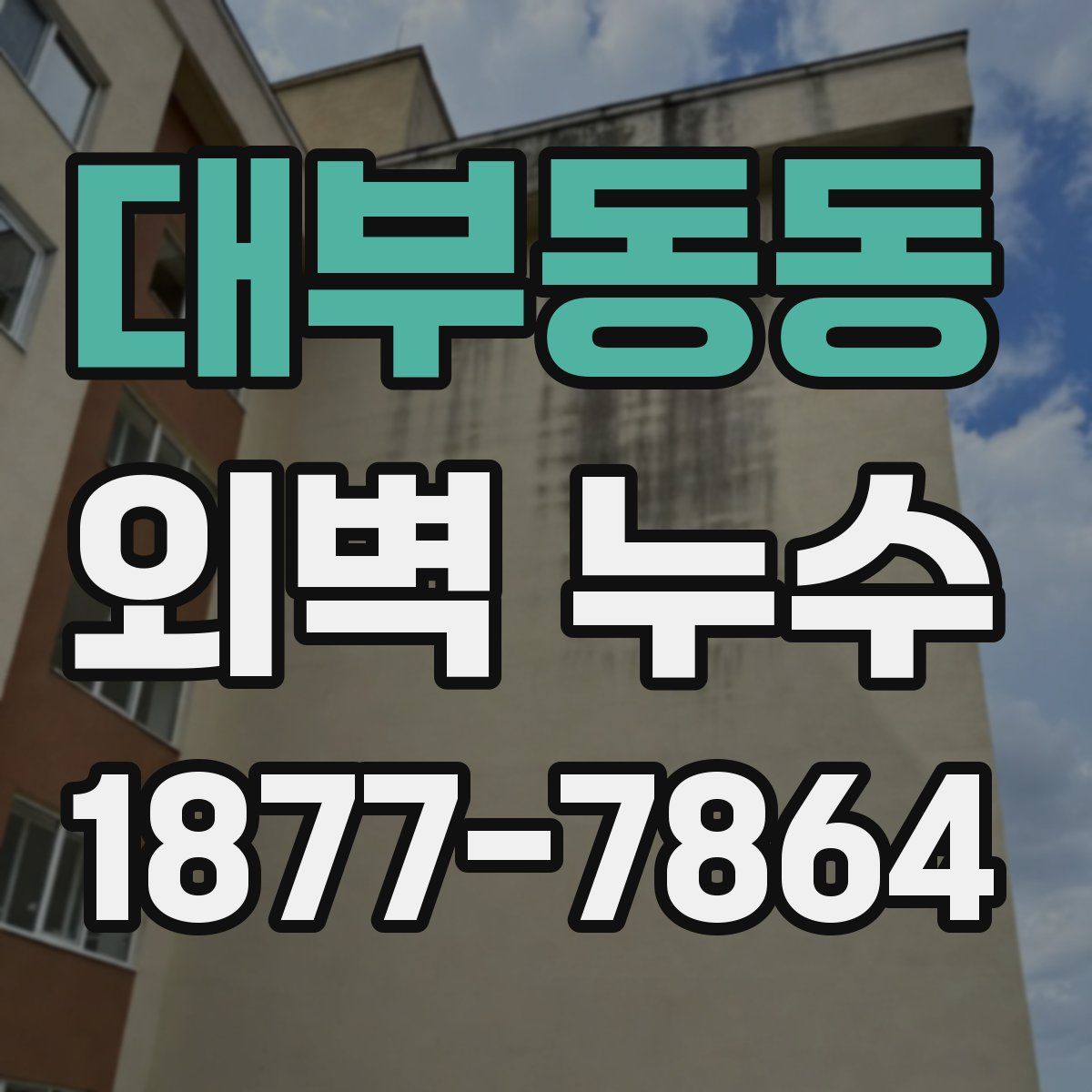 대부동동 외벽 누수