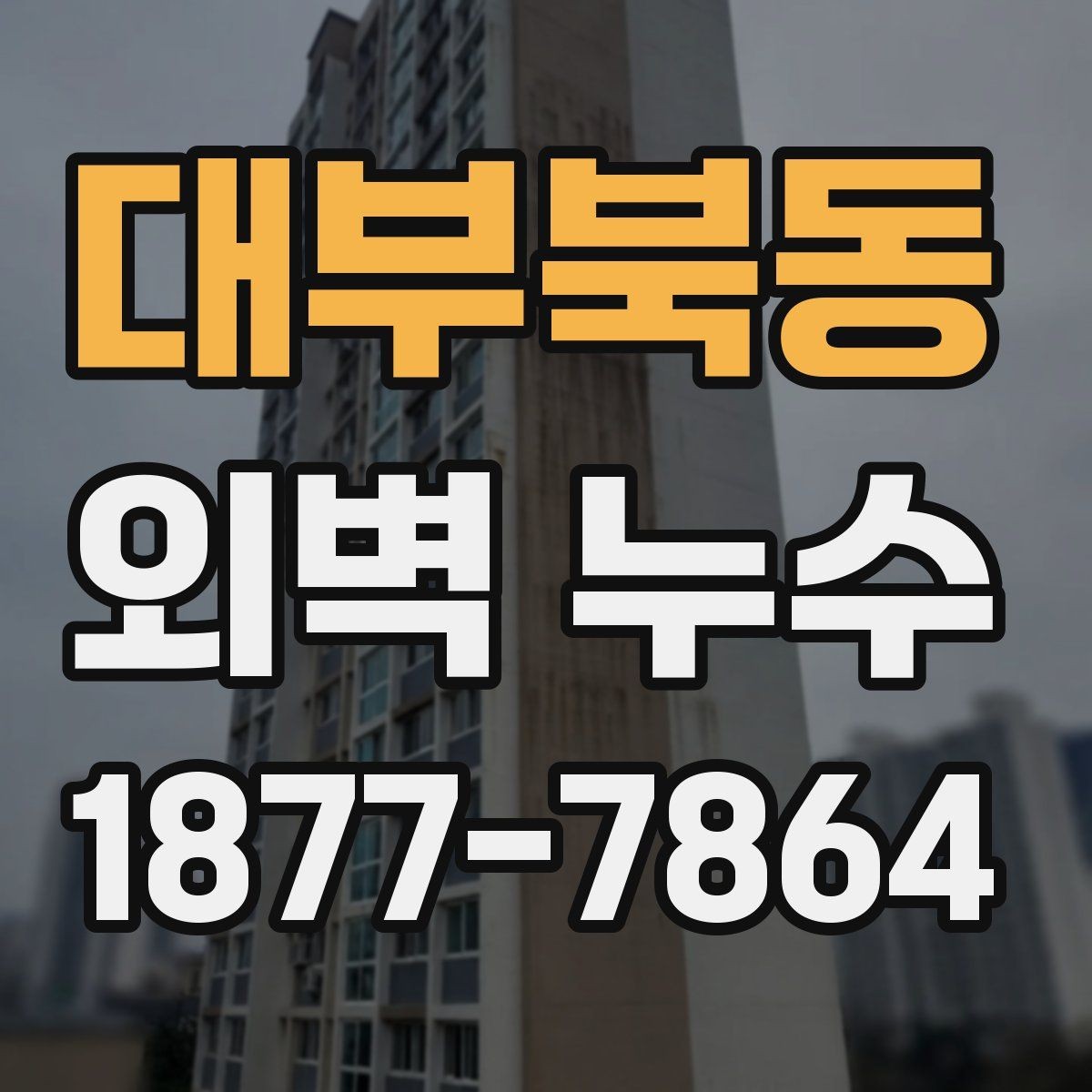 대부북동 외벽 누수 수리 비용을 판단하는 기준