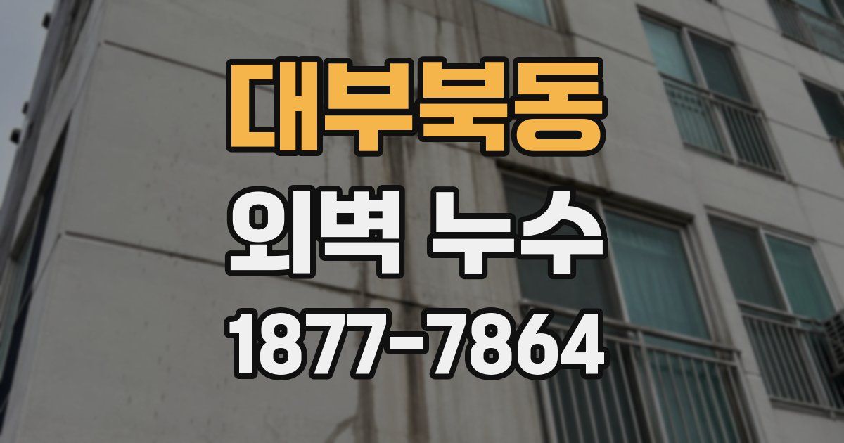 대부북동 외벽 누수