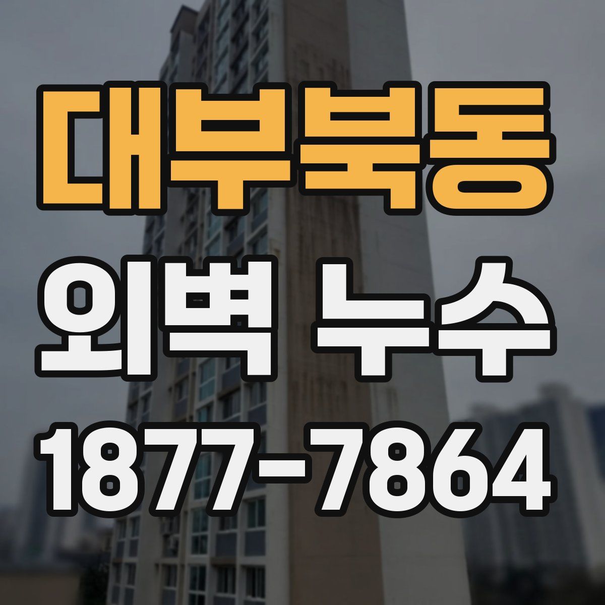 대부북동 외벽 누수