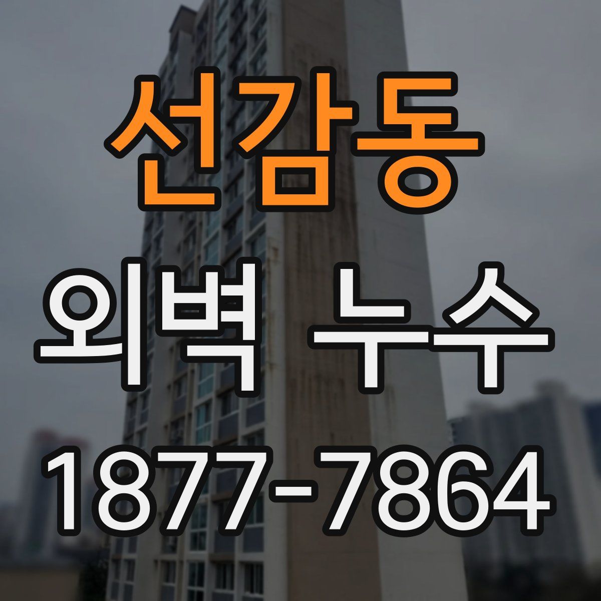 선감동 외벽 누수