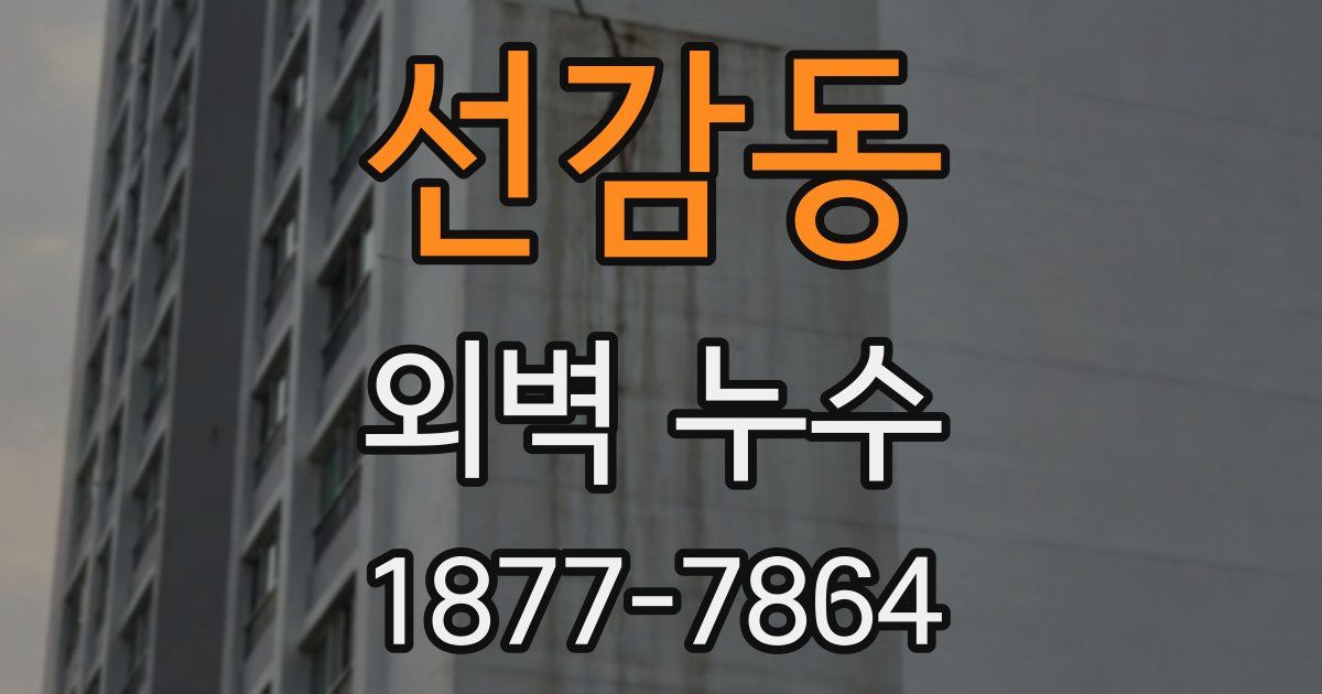 선감동 외벽 누수
