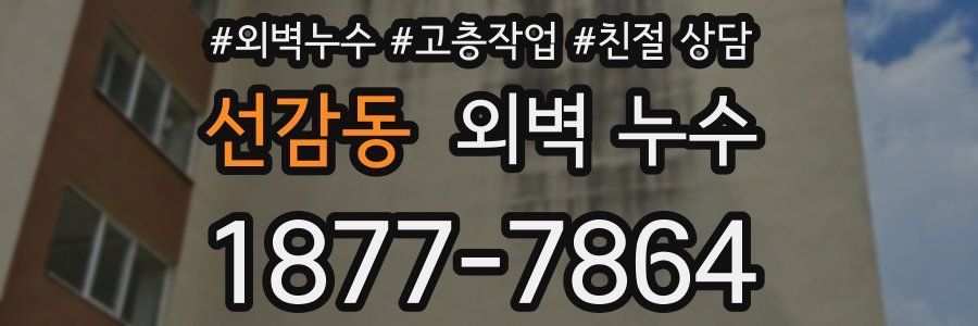 선감동 외벽 누수